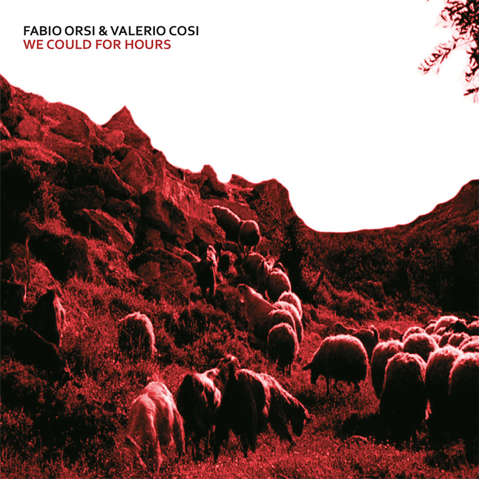 Fabio Orsi ‎& Valerio Cosi - We Could For Hours CD