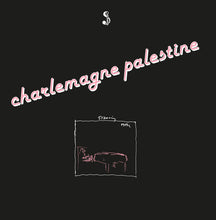 Load image into Gallery viewer, Charlemagne Palestine - Strumming Music LP
