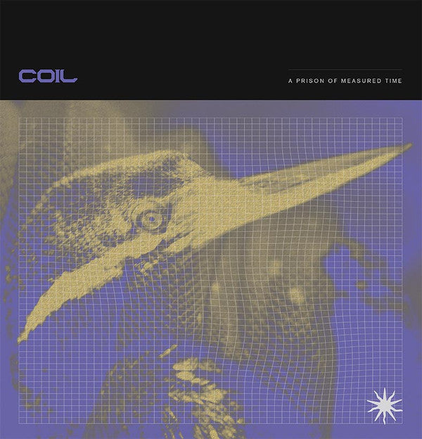 Coil ‎- A Prison Of Measured Time CD