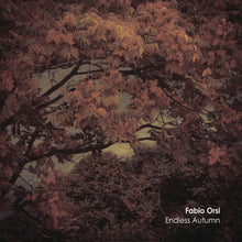 Load image into Gallery viewer, Fabio Orsi - Endless Autumn CD
