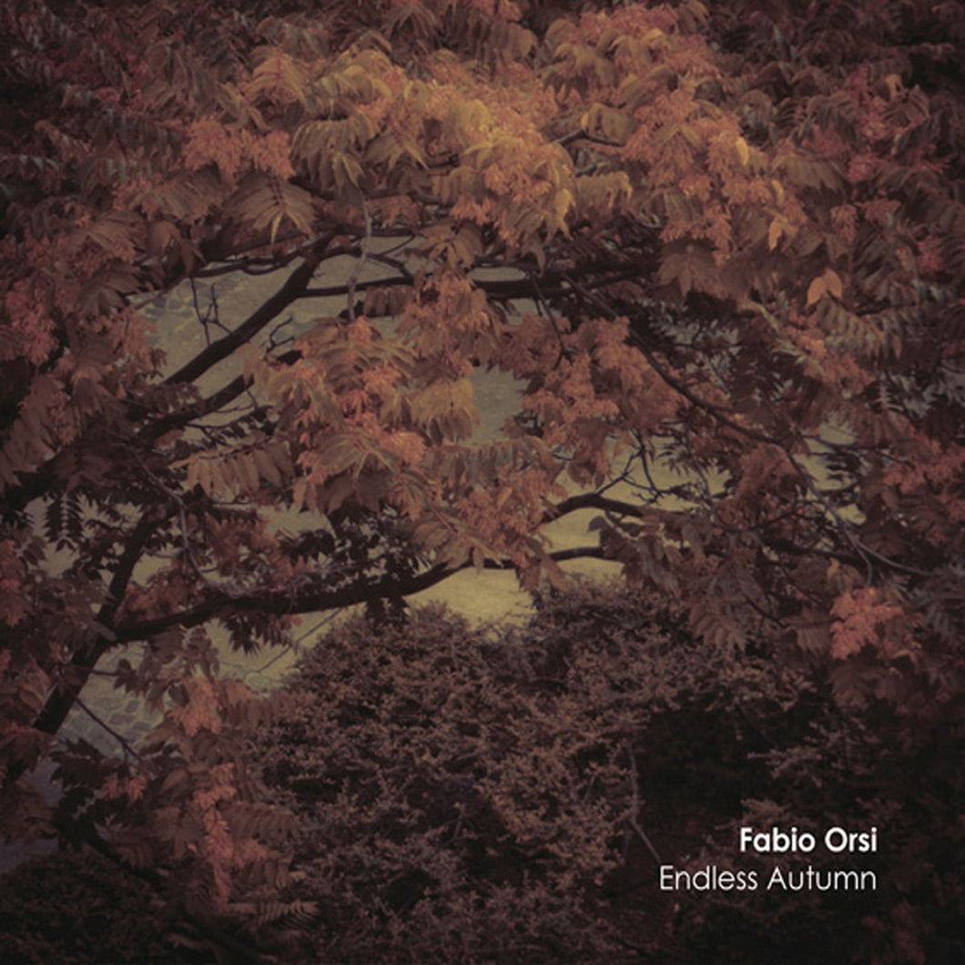 Fabio Orsi - Endless Autumn CD