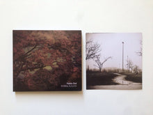 Load image into Gallery viewer, Fabio Orsi - Endless Autumn CD
