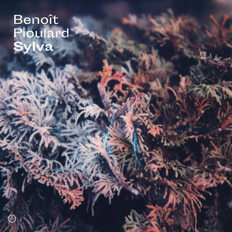 Benoit Pioulard - Sylva CD + Book / BOX SET / Special Edition